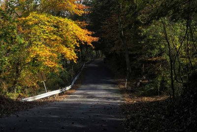Autumn Cycling Road