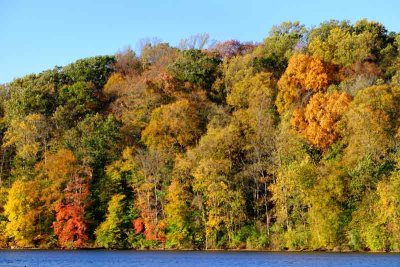 The Golden Hour at Marsh Creek State Park