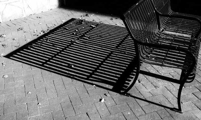 Empty Bench in Autumn