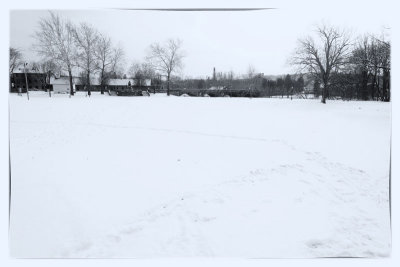 Kerr Park's Barren Landscape in Winter