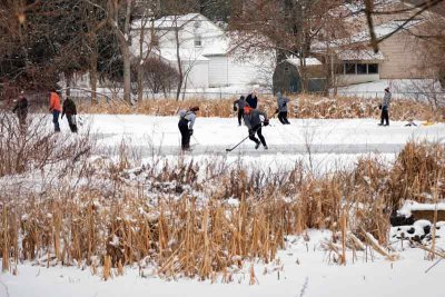 Ice Skaters on The Ponds