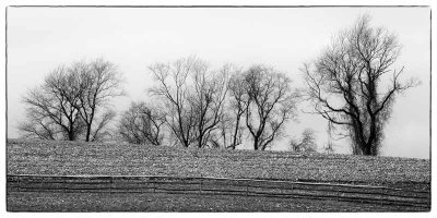 Winter's Snowless Landscape  (B&W)