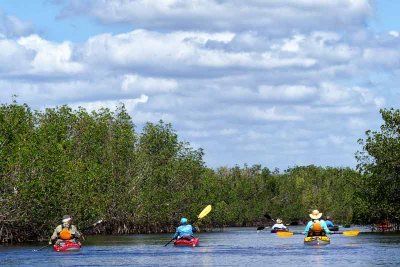 Kayaking in The Everglades (84)