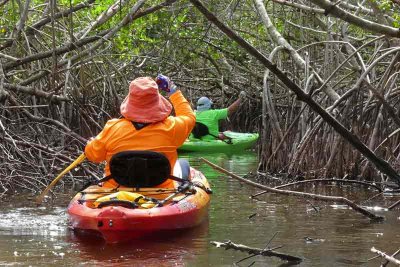 Kayaking in The Everglades (77)