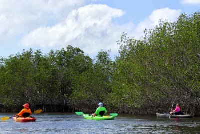 Kayaking in The Everglades (68)