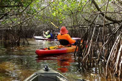 Kayaking in The Everglades (60)