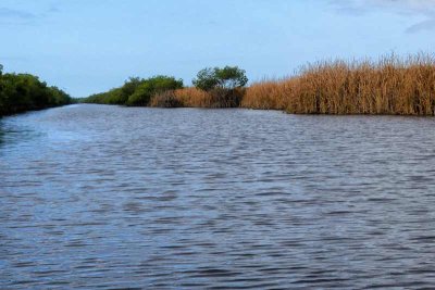 Historic Canoe Trip in The Everglades
