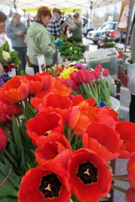 Another Sign of Spring: the Downingtown Farmers Market #2