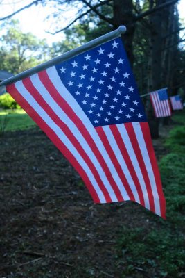 A Day Late: Happy Flag Day