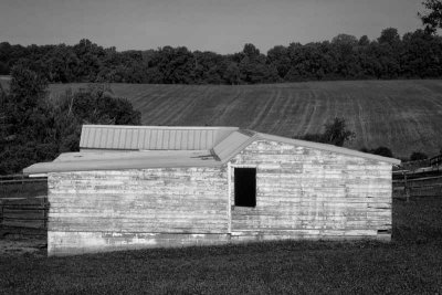 The Weathered Horse Barn on Wilson Road #2