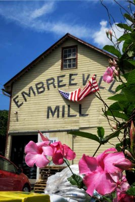 Beautiful and Busy Embreeville Mill