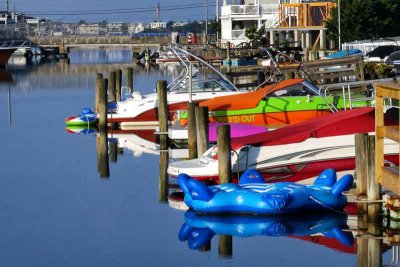 Bright Colors on the Bay in Avalon #1