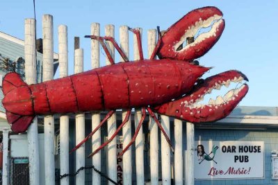 The Lobster is Still in Sea Isle