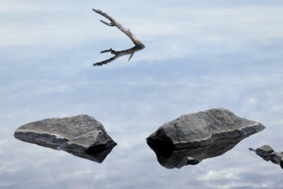 Peaceful Rocks & A Branch #1