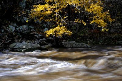 The Rushing Brandywine Creek