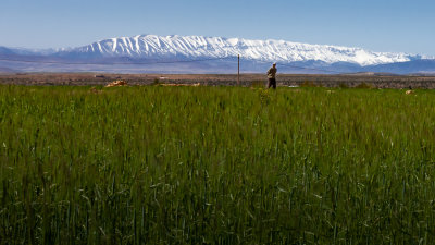 In the Presence of the Grand Atlas
