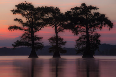 Caddo Lake