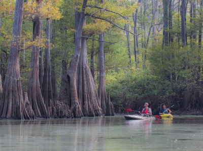 Bodcau Kayakers