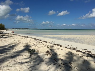 Survey 5.4 - Shelling Beach