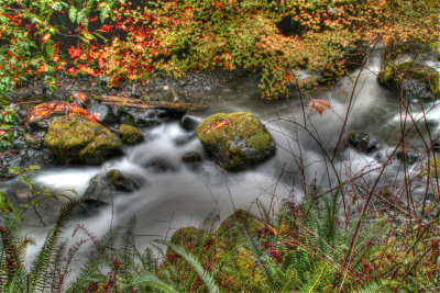 South Fork Creek
