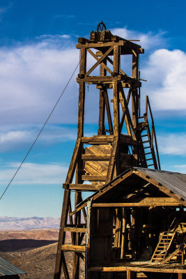 Old Yellow Aster Mine