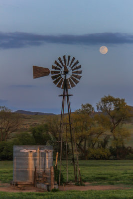 Evening Moon