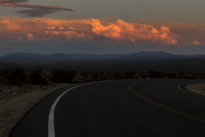 Last light on Joshua Tree