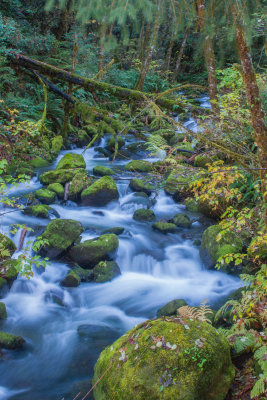 Elk Creek, Coos County, Oregon