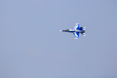 Royal Canadian Air Force CF-18