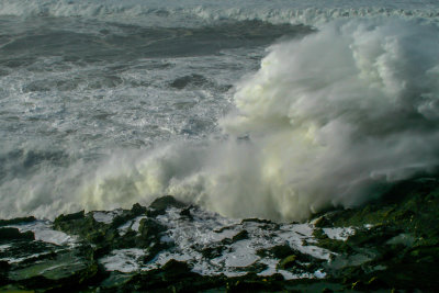 Otter Point State Recreation Site