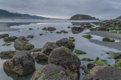 Low Tide