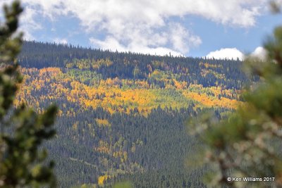 Scenery, Flaming Gorge Lake, UT, 9-20-17, Jda_51283.jpg