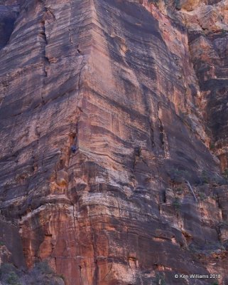 Rock Climber, Zion National Park, UT, 2-3-18, Jp_57391.JPG
