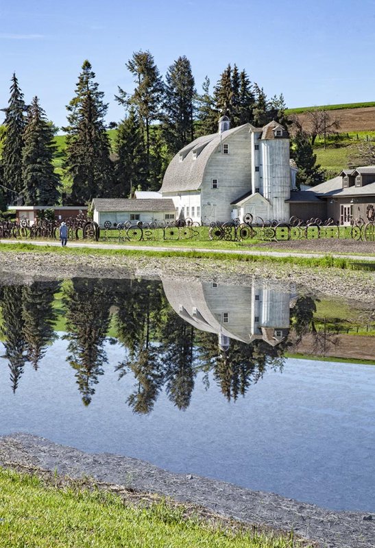 Dahman barn reflected.jpg