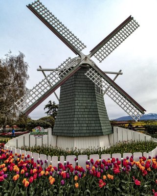 windmill.jpg