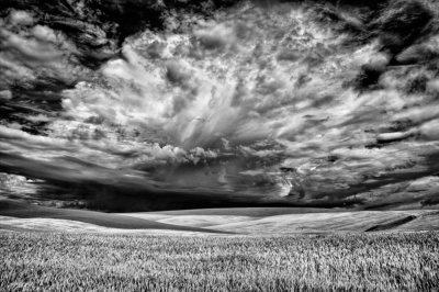 palouse_6-18