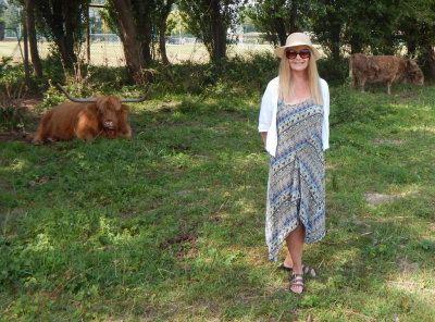 Highland Cattle on Pegwell Bay Walk