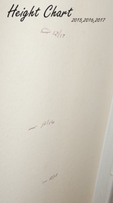 g10/99/30199/3/167102635.LpM19yCf.jpg