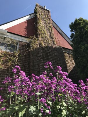 Springtime at College Market