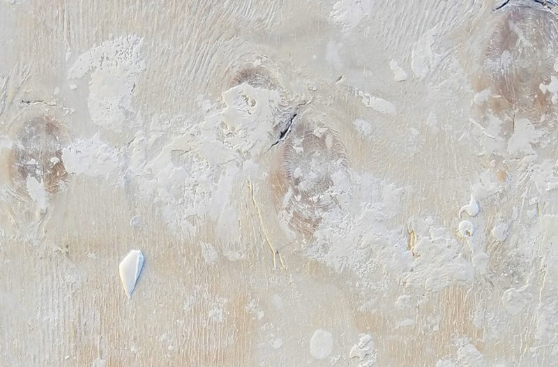 plaster on board