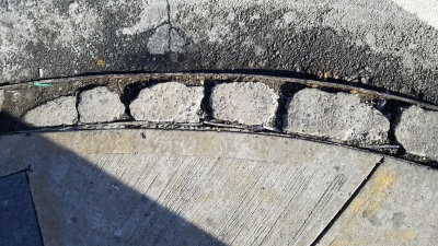 reticulated curb (10)