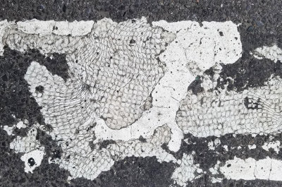 Italy, including Sicily (24)