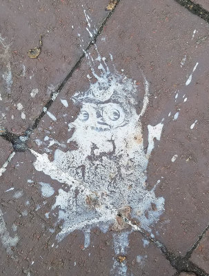 Space Owl Cowboy (117)