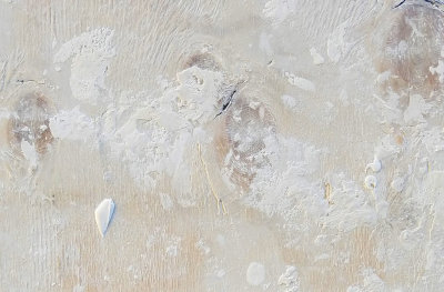 plaster on board