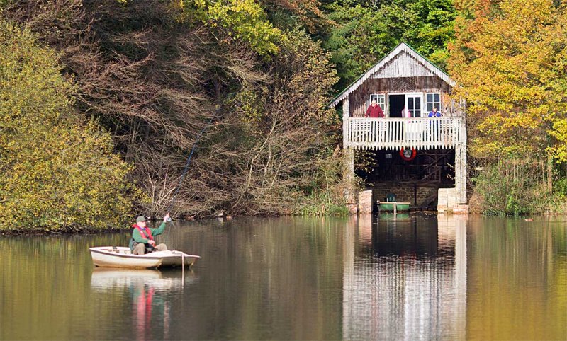 Winkworth Arboretum 3