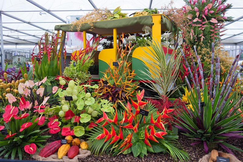 Chelsea Flower Show - 2018