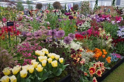 Chelsea Flower Show - 2017