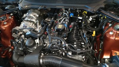 WP_20170422_11_19_41_Pro.jpg