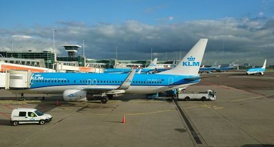 DSC_1950.JPG