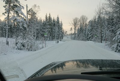 DSC_2672.JPG